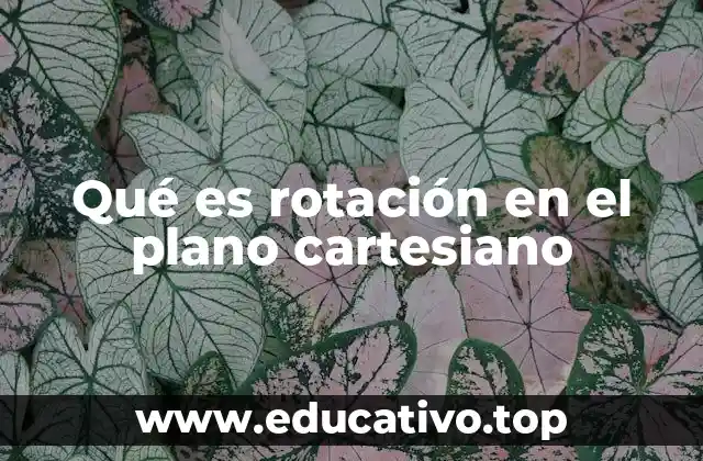 Qué es rotación en el plano cartesiano