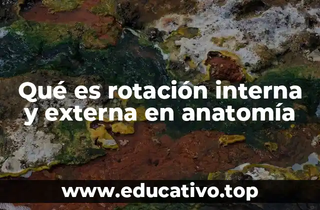 Qué es rotación interna y externa en anatomía