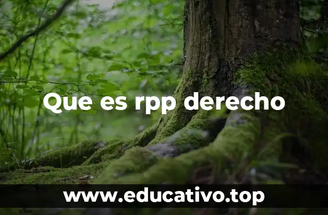 Que es rpp derecho