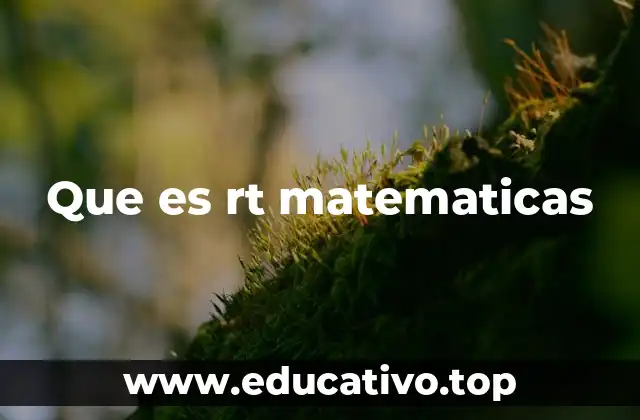 Que es rt matematicas