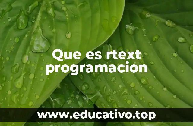 Que es rtext programacion