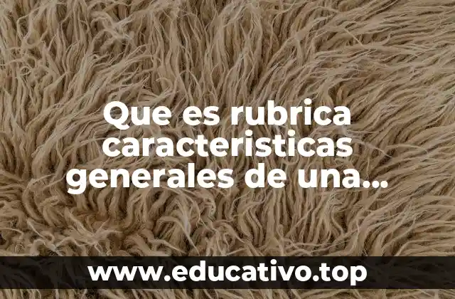 Que es rubrica caracteristicas generales de una monografia