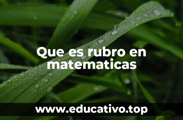 Que es rubro en matematicas
