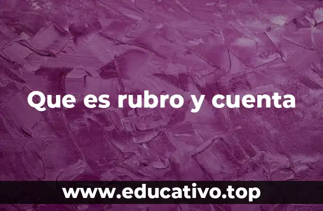 Que es rubro y cuenta
