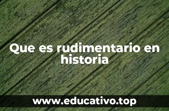 Que es rudimentario en historia