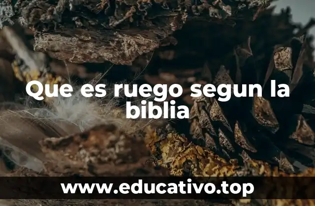 Que es ruego segun la biblia