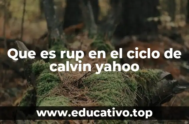 Que es rup en el ciclo de calvin yahoo