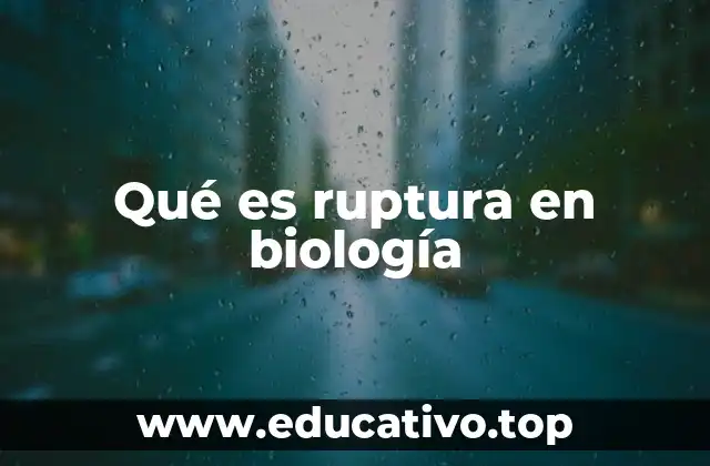 Qué es ruptura en biología