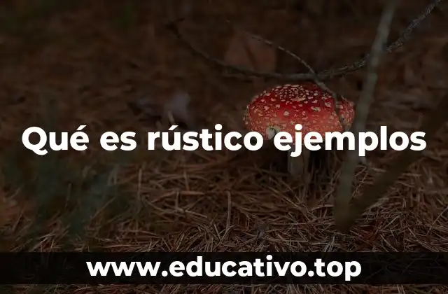 Qué es rústico ejemplos