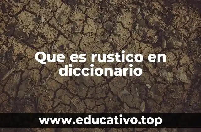 Que es rustico en diccionario