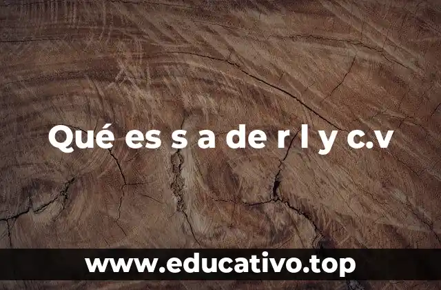 Qué es s a de r l y c.v