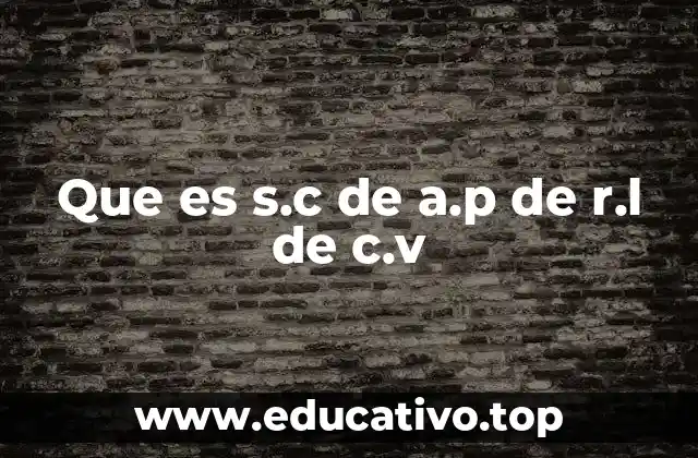 Que es s.c de a.p de r.l de c.v