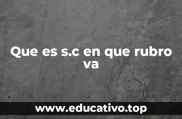 Que es s.c en que rubro va