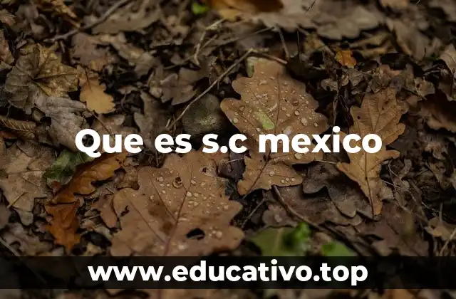 Que es s.c mexico