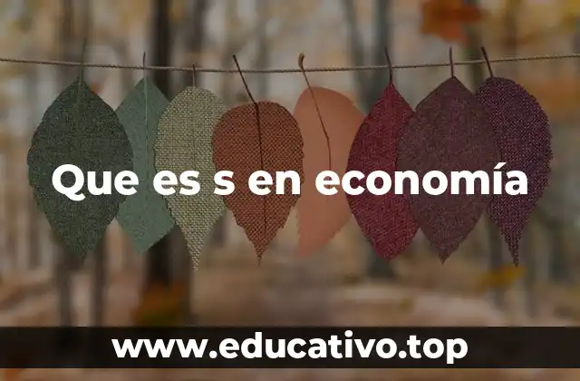 Que es s en economía