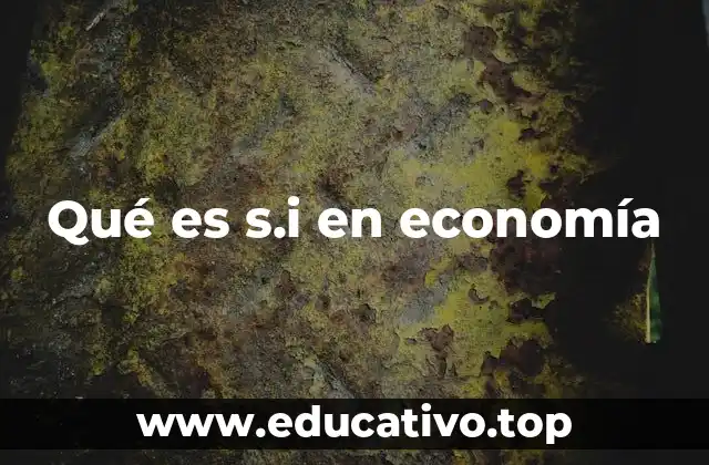 Qué es s.i en economía