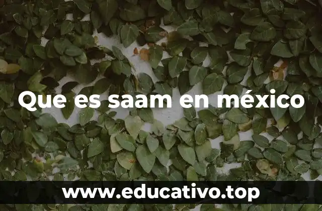 Que es saam en méxico