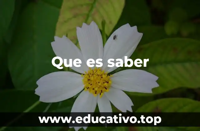 El saber como herramienta de transformación