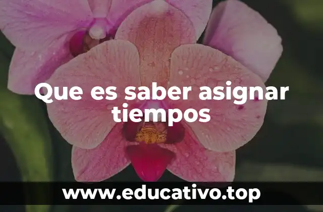 Que es saber asignar tiempos