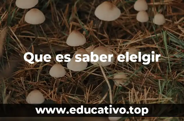 Que es saber elelgir