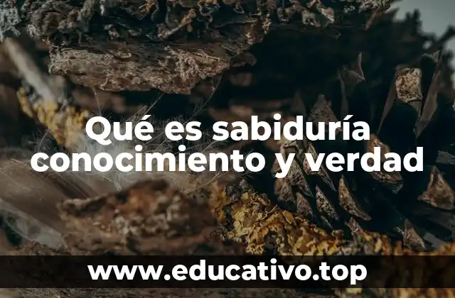 Qué es sabiduría conocimiento y verdad