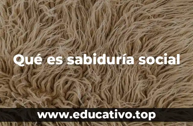 Qué es sabiduría social