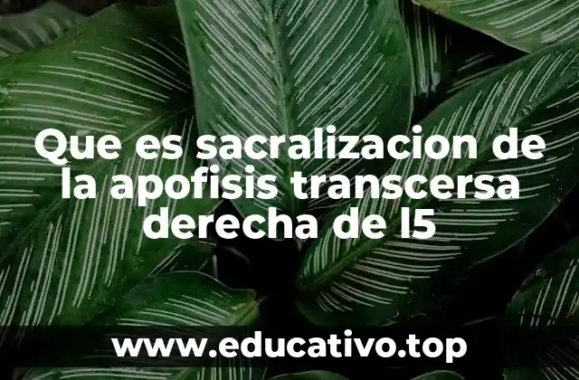 Que es sacralizacion de la apofisis transcersa derecha de l5