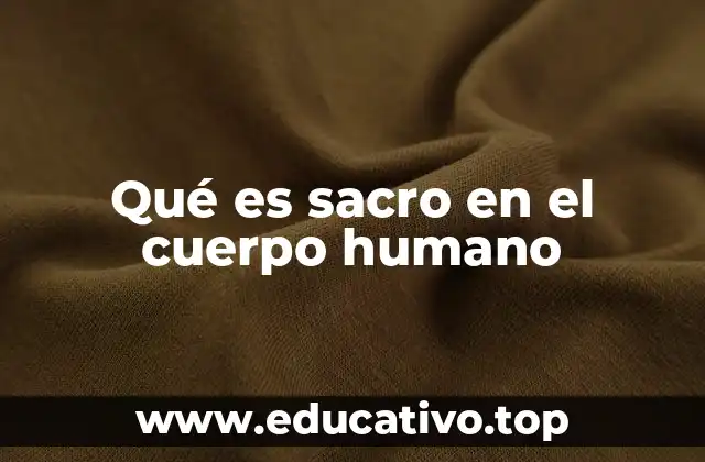 La importancia del sacro en la anatomía y biomecánica