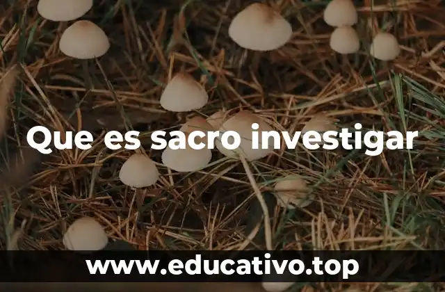 Que es sacro investigar