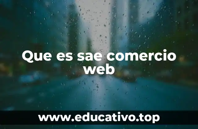 Que es sae comercio web