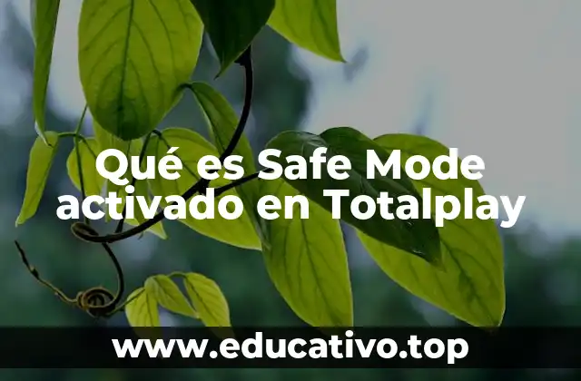 Qué es Safe Mode activado en Totalplay