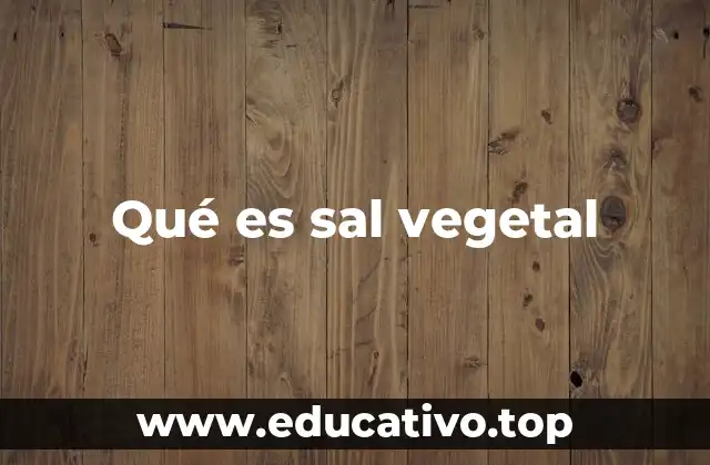 Qué es sal vegetal