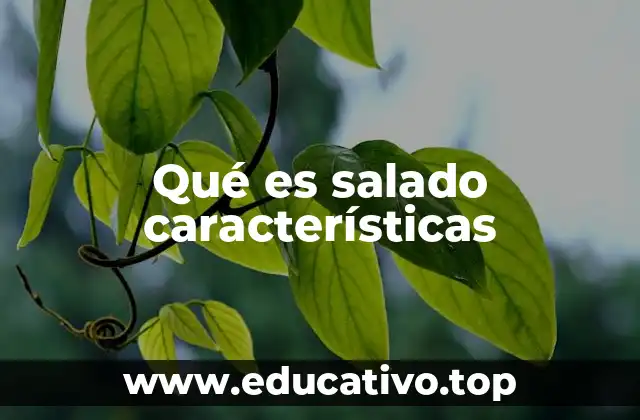 Qué es salado características