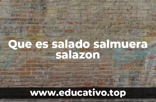 Que es salado salmuera salazon