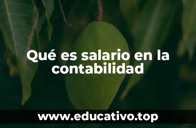 Qué es salario en la contabilidad