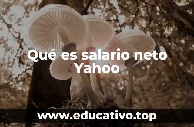 Qué es salario neto Yahoo