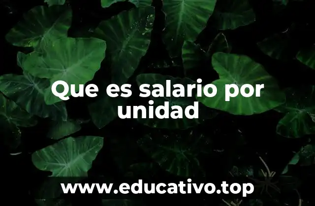 Cómo se aplica el salario por unidad en la práctica