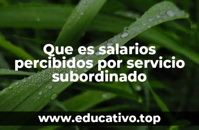 Que es salarios percibidos por servicio subordinado