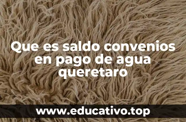 Que es saldo convenios en pago de agua queretaro