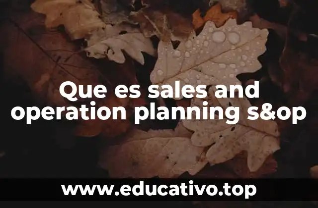 La importancia de la planificación integrada en las empresas modernas