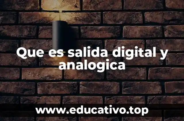 Que es salida digital y analogica