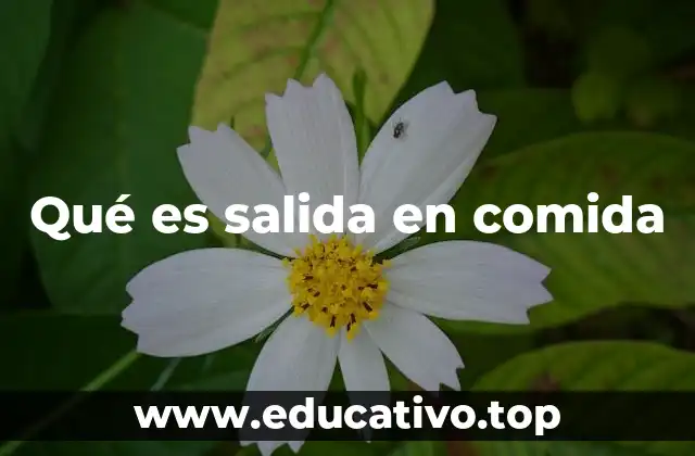 Qué es salida en comida