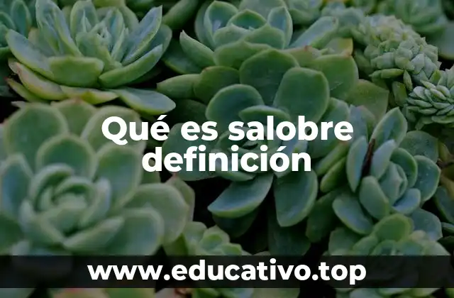 Qué es salobre definición