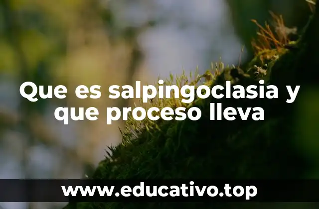 Que es salpingoclasia y que proceso lleva