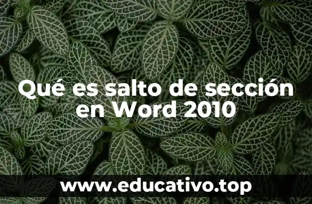 Qué es salto de sección en Word 2010