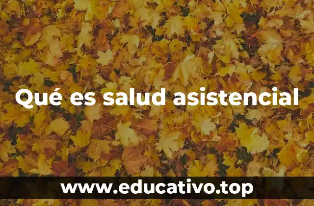 Qué es salud asistencial