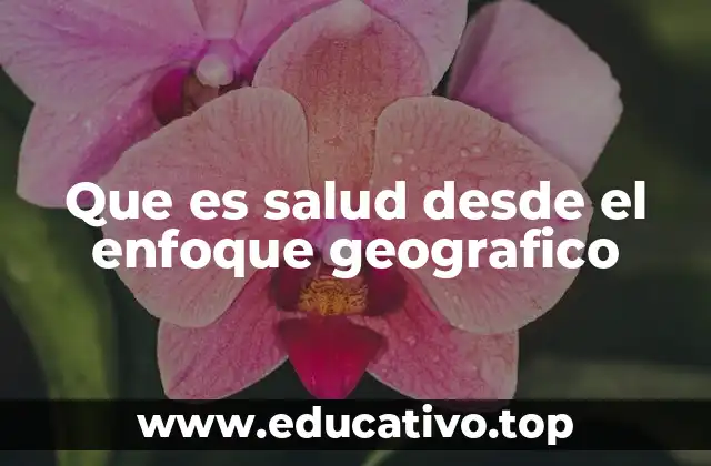 Que es salud desde el enfoque geografico
