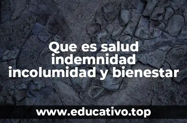 Que es salud indemnidad incolumidad y bienestar