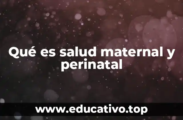 Qué es salud maternal y perinatal