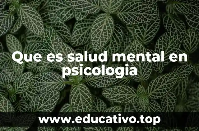 Que es salud mental en psicologia
